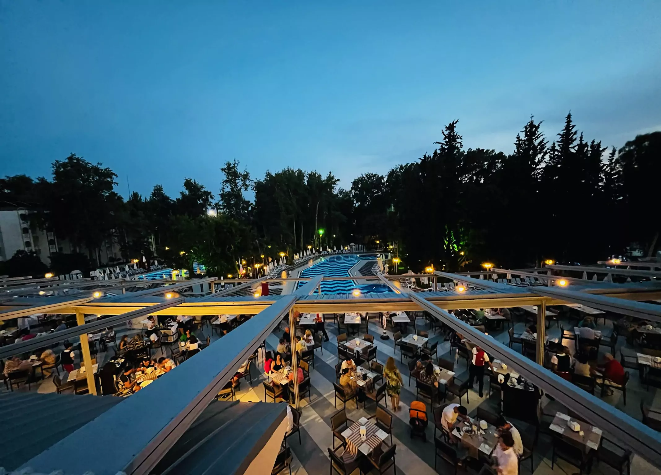 Delphin Botanik Platinum