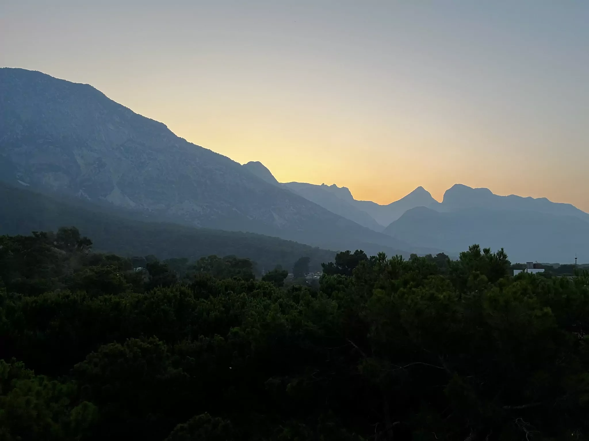 Vedere din cameră de la Paloma Foresta