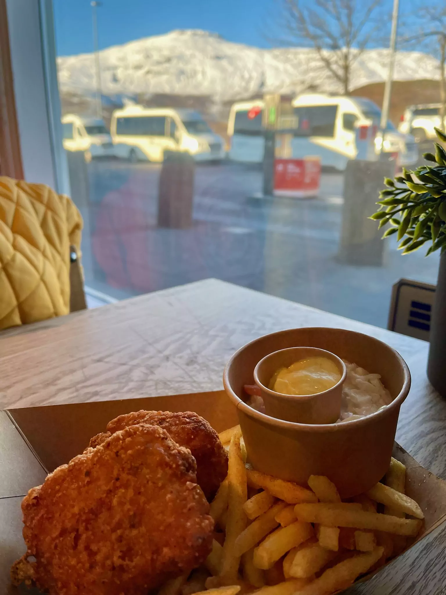 Fish and Chips servit la Haukadalur Geothermal Area