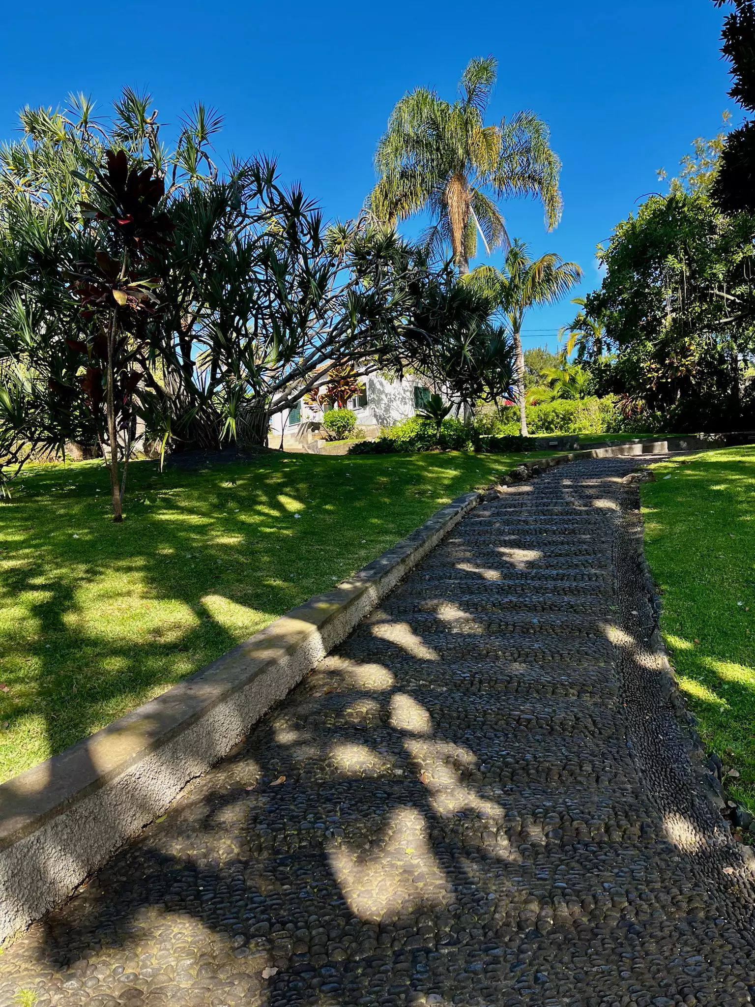 Parcul Quinta Magnólia