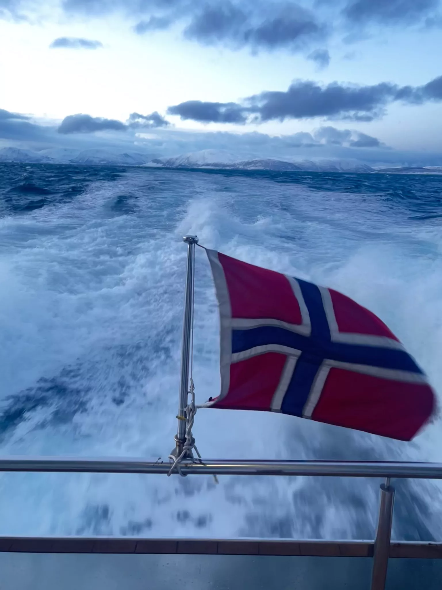 Excursie Whale Watching